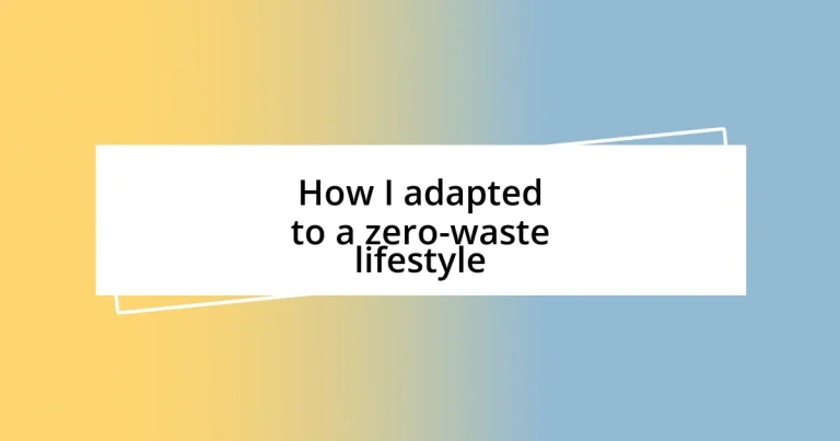 How I adapted to a zero-waste lifestyle