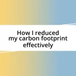 How I reduced my carbon footprint effectively