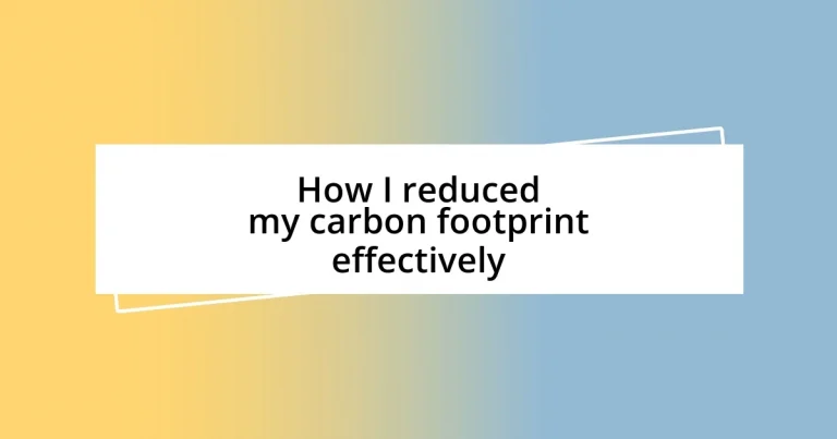 How I reduced my carbon footprint effectively