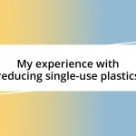 My experience with reducing single-use plastics