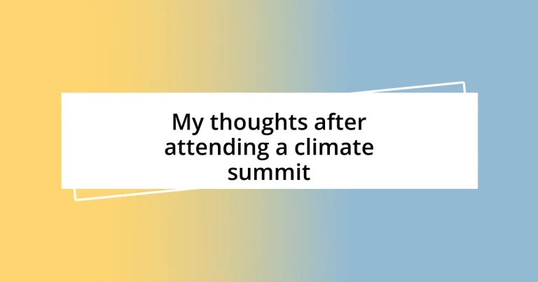 My thoughts after attending a climate summit