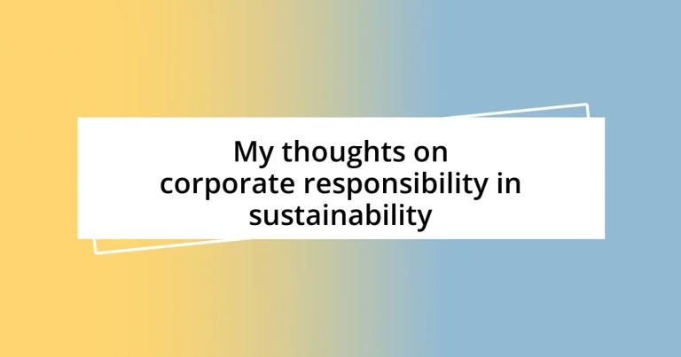 My thoughts on corporate responsibility in sustainability