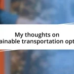 My thoughts on sustainable transportation options