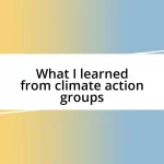 What I learned from climate action groups