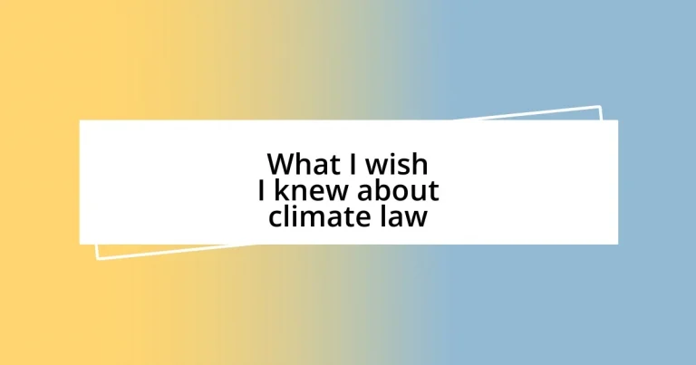 What I wish I knew about climate law