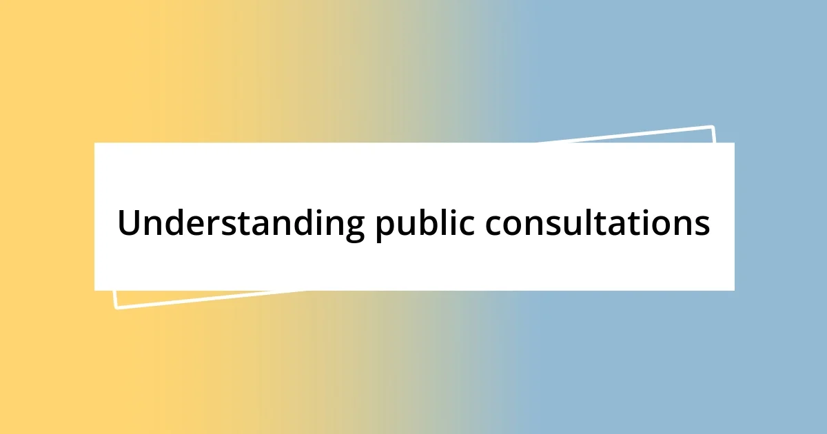 Understanding public consultations