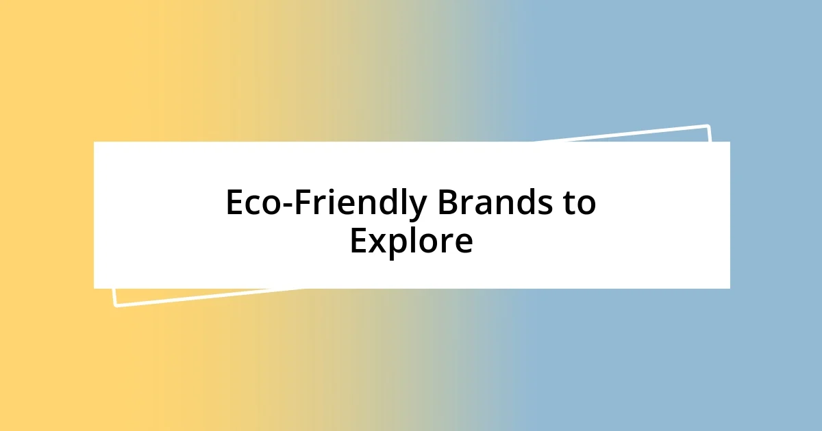 Eco-Friendly Brands to Explore