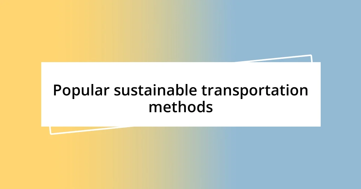 Popular sustainable transportation methods