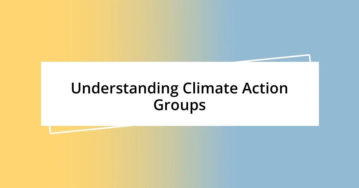 Understanding Climate Action Groups