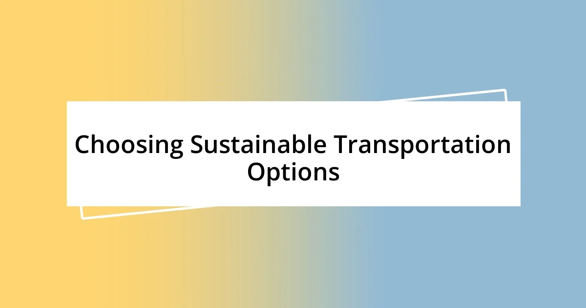 Choosing Sustainable Transportation Options